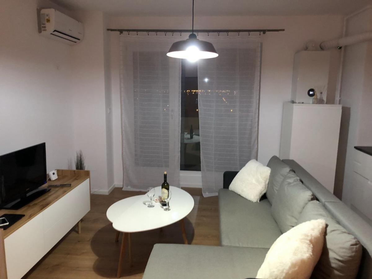 Chronos Apartment - Modern And Stylish Timisoara Luaran gambar